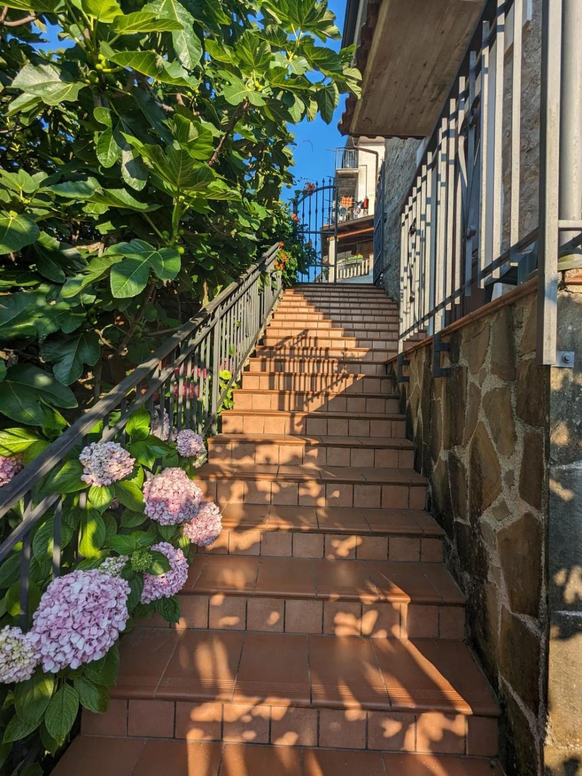 La Casa Di Lidia Bed & Breakfast Cardile Dış mekan fotoğraf