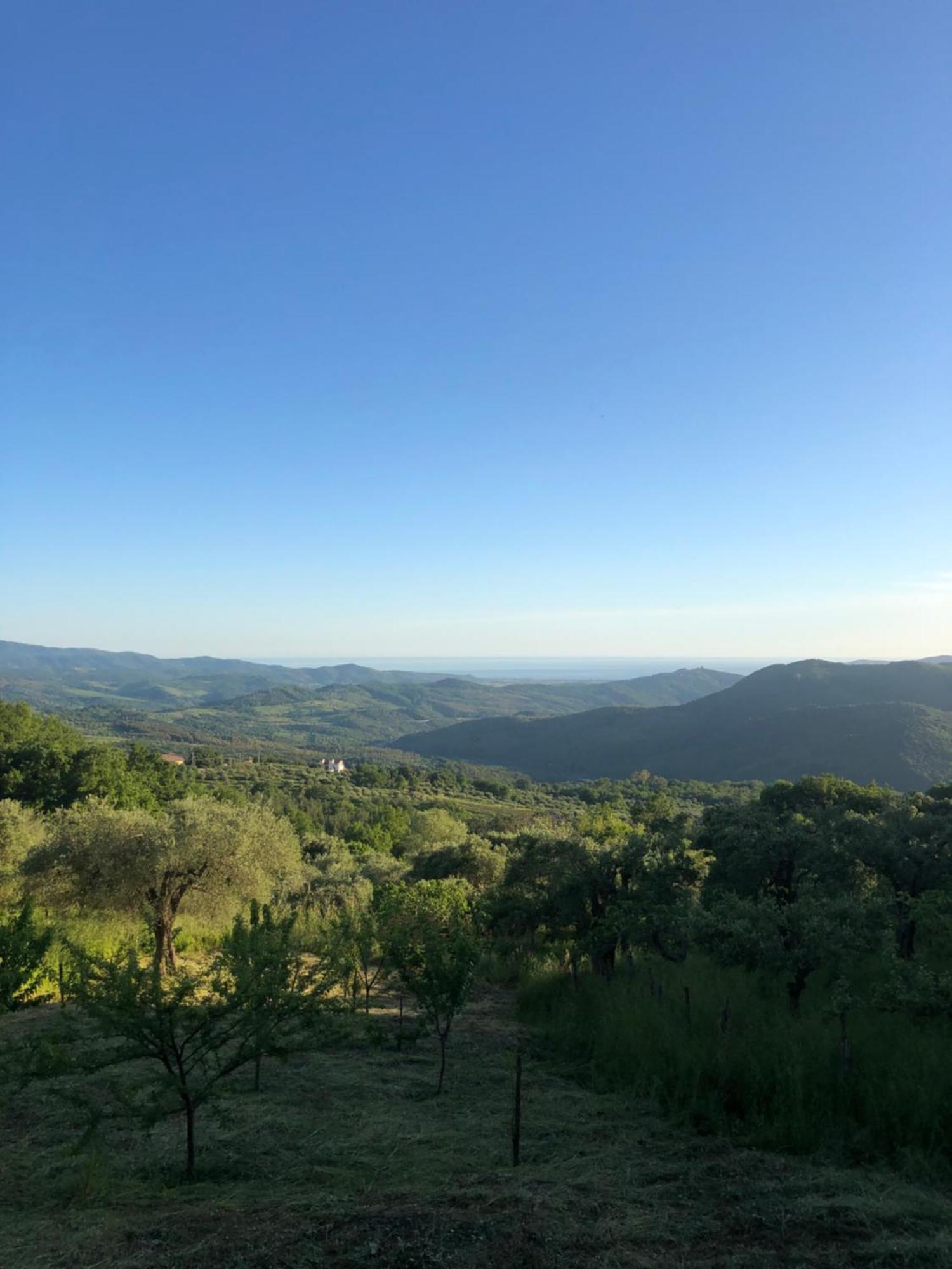 La Casa Di Lidia Bed & Breakfast Cardile Dış mekan fotoğraf